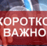 Законы, вступившие в октябре. Электронные права, лекарства, госзакупки и другое - Polevskoy24.Ru